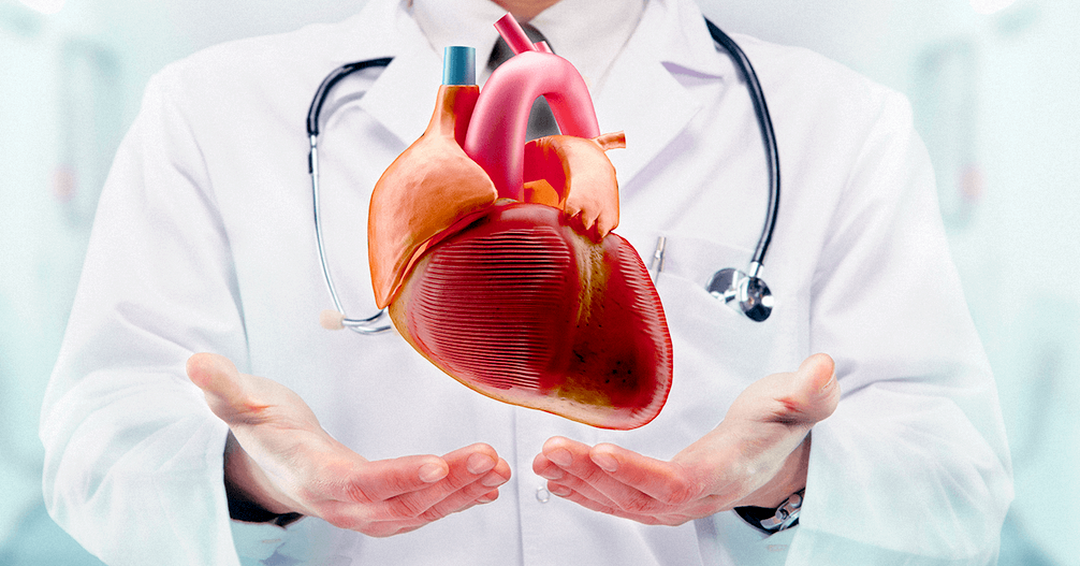 Cardiología para Visitadores Médicos: Principales Enfermedades y Tratamientos